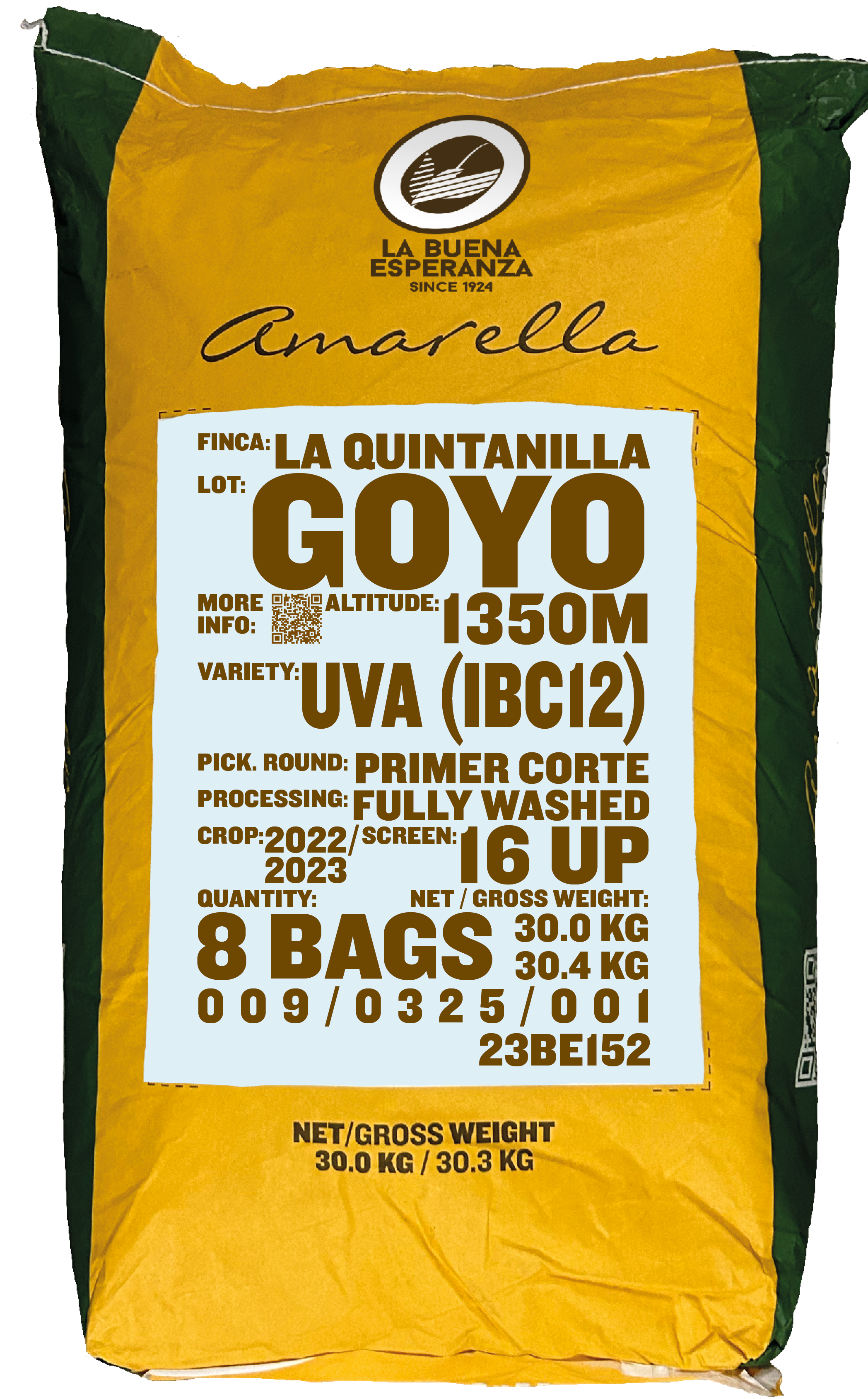 Goyo, UVA (IBC 12)
