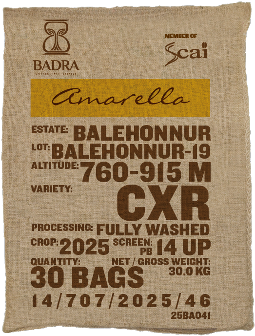 Balehonnur, CxR