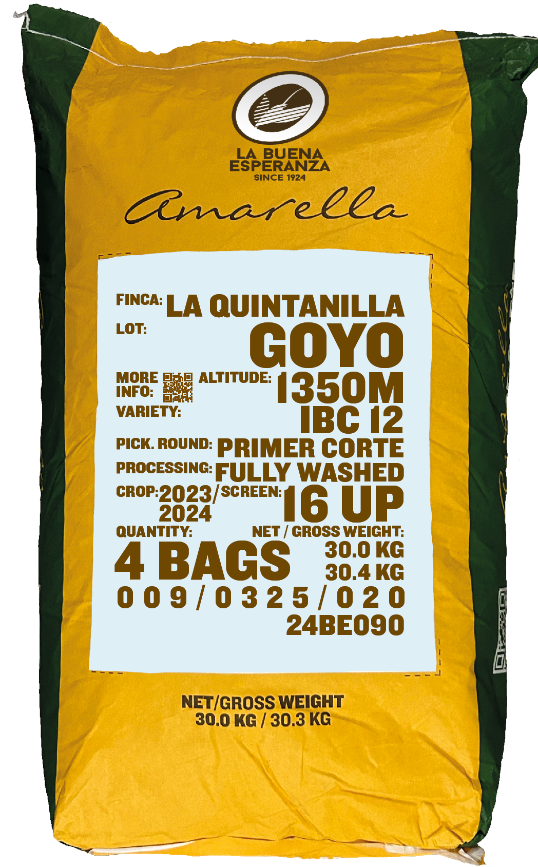 Goyo, UVA (IBC 12)